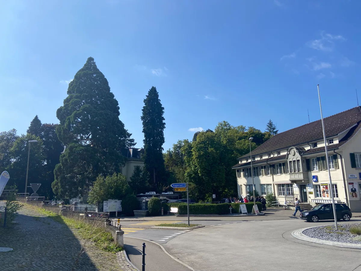 Die ehemalige Fabrikantenvilla, die sich hinter dem Mammutbaum versteckt, ist von hoher Bedeutung für das Ortsbild. Ein Kreisverkehr, dahinter stehen Gebäude.